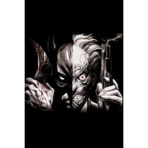  Batman Vs. Two Face Not Available (NA) Books