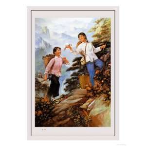   Picking Herbs Giclee Poster Print by Liu Chi ho, 18x24