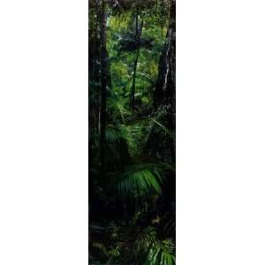  Tropical Rainforest Poster Print, 12x36