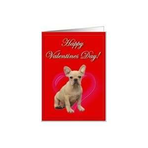  Happy Valentines French Bulldog puppy Card: Health 