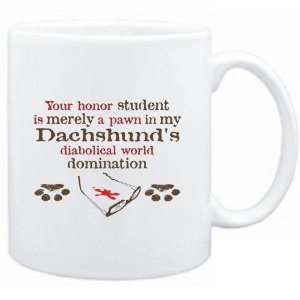  Mug White  Your honor student is merely a pawn in my 