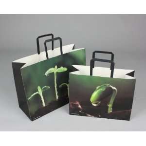  Kraft Paper Shopping Gift Bags (Green Leaf) 13 X 5 X 10 