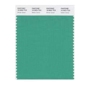   SMART 16 5924X Color Swatch Card, Winter Green: Home Improvement