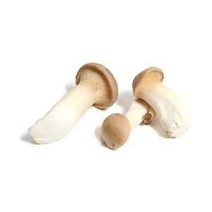 Royal Trumpets Italian Mushrooms 3 Pound  Grocery 