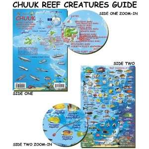  Chuuk Lagoon Reef Creatures Fish ID