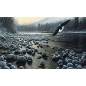  Kevin Daniel 36W by 24H  Eagle Over Water CANVAS Edge 