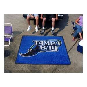  MLB Tampa Bay Devil Rays Tailgate Mat / Area Rug: Sports 