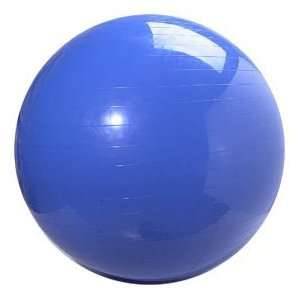  Tone A Ball Exercise Ball with foot pump plus video   65 