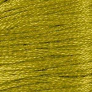 DMC (733) Six Strand Embroidery Cotton 8.7 Yard Md. Olive Green By The 