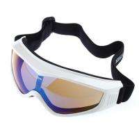 Basto Anti Fog Dual Lens Sport Ski Snowboard Goggles White Frame 