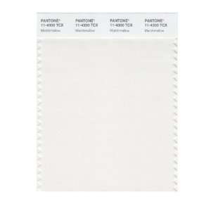   SMART 11 4300X Color Swatch Card, Marshmallow: Home Improvement