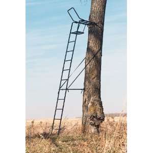  Big Game® 15 Black Panther Ladder Stand: Sports 