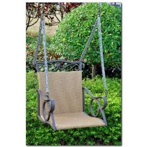    Valencia Resin Wicker Steel Single Swing: Patio, Lawn & Garden