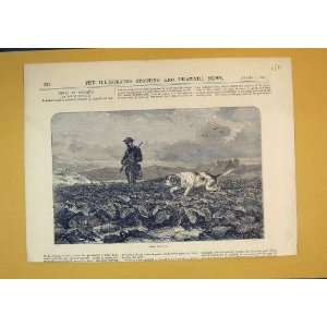  1875 Sport Hare Shooting Man Gun Hound Dog Country: Home 
