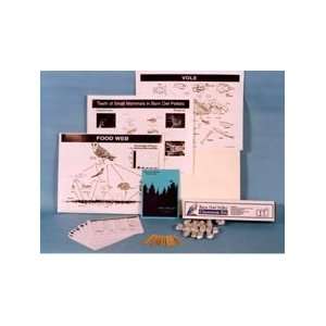 Classroom Owl Pellet Kit  Industrial & Scientific