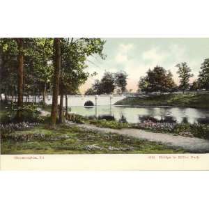   Postcard Bridge in Miller Park   Bloomington Illinois 