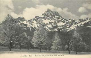 FRANCE BEX DENT DU MIDI CHERRY BLOSSOMS T77589  