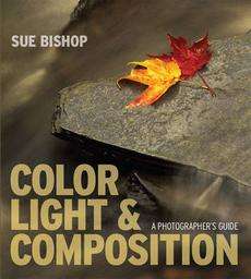 Color, Light and Composition NEW by Sue Bishop 9781861086631  