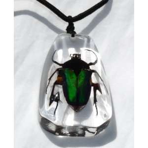  Clear Black Rose Chafer Beetle Pendant: Toys & Games