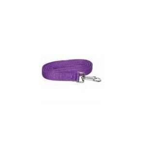  Gatsby Leather Nylon Lead With Snap Purple: Pet Supplies