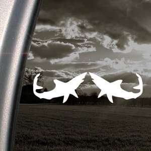  Mako Sharks Decal BOAT CRUISER Truck Window Sticker 
