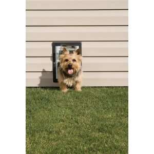 Petsafe® Premium Wall Entry Aluminum Dog Door SMALL:  