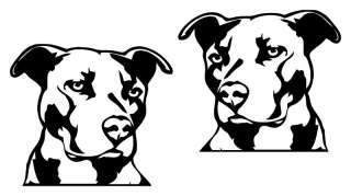 Pitbull Vinyl Decal Pit Bull sticker dog JDM 4x4 MMA  
