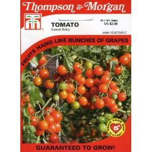  Thompson & Morgan 4896 Tomato Sweet Baby Seed Packet 