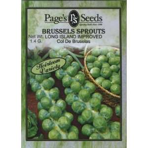  Brussel Sprouts Long Island Improved Patio, Lawn & Garden