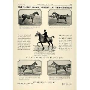  1930 Ad Charles F. Henry Saddlebred Horses Thoroughbred 