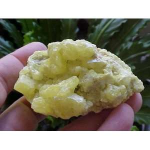  A5305 Gemqz Yellow Sulfur Crystal Cluster Nice 