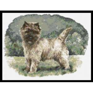  Cairn Terrier Dog Counted Cross Stitch Kit: Everything 