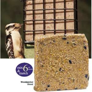  Suet Plus Blend Cakes 11 oz Flavor: Nuts and Berry: Pet 