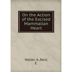   the Action of the Excised Mammalian Heart A.,Reid, E. Waller Books