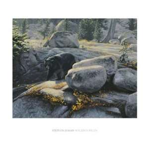  Boulder Bruin by Stephen Lyman 24x22: Everything Else