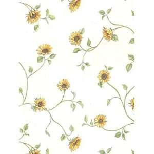  Wallpaper Warner Growing Up With Chesapeake GU93161