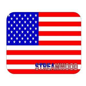  US Flag   Streamwood, Illinois (IL) Mouse Pad Everything 