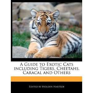   , Cheetahs, Caracal and Others (9781117513522): Anthony Holden: Books