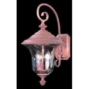   Carcassonne Transitional Outdoor Wall Sconce from the Carcassonne