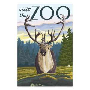  Visit the Zoo, Caribou Front View Premium Poster Print 