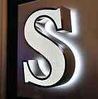 New S Capital Sign Letter 3D LED Front & Back light Cus