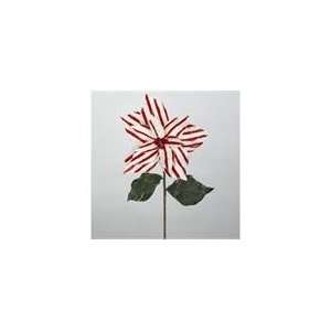  Club Pack of 12 Red and White Stripe Christmas Poinsettia 