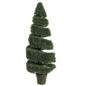  5? Spiral Cedar Tree in Pot Green: Home & Kitchen