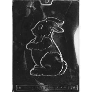   BUNNY FOR PACKAGING Easter Candy Mold chocolate