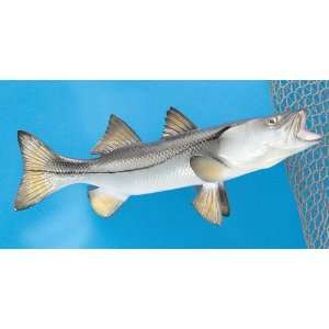  Land & Sea Snook Fiberglass Fish Wall Plaque: Sports 