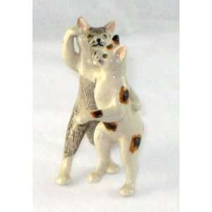  CATS Tiger Grey and Calico DANCE on Hind LEGS Dancing 