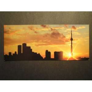   Panorama Postcard, Dusk, Skydome Tower Toronto not applicable Books