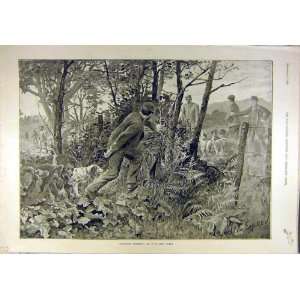  1894 Partridge Shooting Gun Dogs Poacher Sport Print