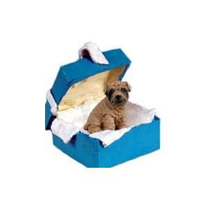  Shar Pei Blue Gift Box Dog Ornament   Brown: Home 