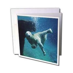  Kike Calvo Polar Bears   Polar Bear Swimming   Greeting 